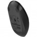 Мышка A4Tech FB12S Wireless/Bluetooth Black (FB12S Black)