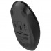 Мишка A4Tech FB12S Wireless/Bluetooth Black (FB12S Black)