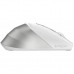 Мышка A4Tech FB45CS Air2 Bluetooth/Wireless Silver/White (4711421999373)