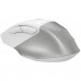 Мышка A4Tech FB45CS Air2 Bluetooth/Wireless Silver/White (4711421999373)