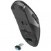 Мишка A4Tech FG50 Plus Wireless Black (4711421002806)