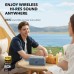Акустическая система Anker SoundCore Motion 300 Blue (A3135031)