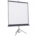 Проекционный экран Atria TRM-NTSC-60D