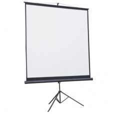 Проекционный экран Atria TRM-NTSC-60D