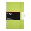 Канцелярская книга Axent Partner, 125*195, 96sheets, square, light green (8201-04-А)