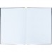 Канцелярская книга Axent Colors А4, 80 листов, клетка, желтая (8421-06-A)