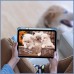 Чехол для планшета BeCover Soft Edge TPU Apple Pencil Apple iPad Air (4/5) 2020/2022 10.9