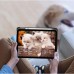 Чохол до планшета BeCover Soft Edge TPU Apple Pencil Apple iPad Air (4/5) 2020/2022 10.9