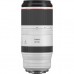 Объектив Canon RF 100-500mm f/4.5-7.1 L IS USM (4112C005)