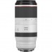 Об'єктив Canon RF 100-500mm f/4.5-7.1 L IS USM (4112C005)