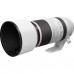 Объектив Canon RF 100-500mm f/4.5-7.1 L IS USM (4112C005)