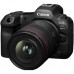 Объектив Canon RF 24mm F1.4L VCM (6907C005)