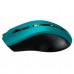 Мышка Canyon MW-5 Wireless Green-Black (CNE-CMSW05G)