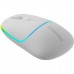 Мышка Canyon MW-22 Dual Band RGB Wireless Snow White (CNS-CMSW22SW)