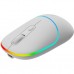 Мышка Canyon MW-22 Dual Band RGB Wireless Snow White (CNS-CMSW22SW)