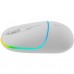 Мышка Canyon MW-22 Dual Band RGB Wireless Snow White (CNS-CMSW22SW)