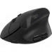 Мышка Canyon MW-25 LED Silent Wireless/Bluetooth Black (CNS-CMSW25)