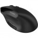 Мышка Canyon MW-25 LED Silent Wireless/Bluetooth Black (CNS-CMSW25)