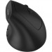 Мышка Canyon MW-25 LED Silent Wireless/Bluetooth Black (CNS-CMSW25)