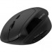 Мышка Canyon MW-25 LED Silent Wireless/Bluetooth Black (CNS-CMSW25)