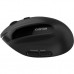 Мышка Canyon MW-25 LED Silent Wireless/Bluetooth Black (CNS-CMSW25)