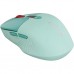 Мишка Canyon MW-26 LCD Silent Wireless/Bluetooth Green (CNS-CMSW26GR)