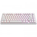 Клавиатура Dark Project ALU81 Terra Nostra PBT RGB Mech G3MS Moonstone White (DPKB_NOSTRA_81_ANSI_WHITE_UA)