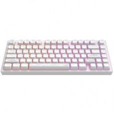Клавиатура Dark Project ALU81 Terra Nostra PBT RGB Mech G3MS Moonstone White (DPKB_NOSTRA_81_ANSI_WHITE_UA)