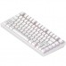 Клавиатура Dark Project ALU81 Terra Nostra PBT RGB Mech G3MS Moonstone White (DPKB_NOSTRA_81_ANSI_WHITE_UA)