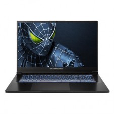 Ноутбук Dream Machines RG5050-17 (RG5050-17UA25)