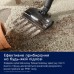 Пылесос Electrolux EP82UB25UG