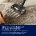 Пылесос Electrolux EP83HB25UV