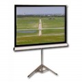 Проекционный экран T113NWS1 Elite Screens