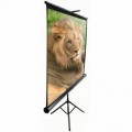 Проекционный экран T100UWV1 Elite Screens
