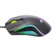 Мышка Havit HV-MS1029 USB Black (6939119067229)