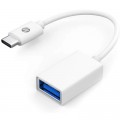 Переходник OTG USB 3.1 AF to USB-C 0.15m HP (HP_DHC TC105)