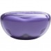Навушники JBL Tune Flex 2 Ghost Purple (JBLTFLEX2GMAE)