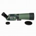 Підзорна труба Kowa TSN-82SV 82 mm Angled (10565) (914783)