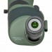 Підзорна труба Kowa TSN-82SV 82 mm Angled (10565) (914783)