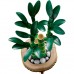 Конструктор LEGO Botanicals Бамбук щастя (10344)