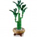 Конструктор LEGO Botanicals Бамбук щастя (10344)