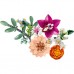 Конструктор LEGO Botanicals Милый розовый букет цветов (10342)