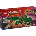 Конструктор LEGO Ninjago Зеленый лесной дракон Ллойда (71829)
