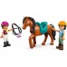 Конструктор LEGO Friends Кінна стайня і академія верхової їзди (42688)
