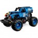 Конструктор LEGO Technic Monster Jam Grave Digger Огонь и лед (42219)