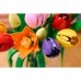 Конструктор LEGO Botanicals Букет тюльпанов (11501)