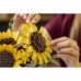 Конструктор LEGO Botanicals Букет подсолнечников (11502)