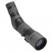 Підзорна труба Leupold SX-2 Alpine HD 20-60x60 mm (180143)
