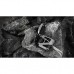 Наушники GravaStar Sirius P5 TWS BT 5.2 IPX4 Defense Armor (GRAVASTARP5_ARMOR_GRY_V2)