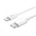 Зарядний пристрій Denmen USB-C PD20W 3.6A + cable USB-C to Lightning white (DM-DC06L-WH)